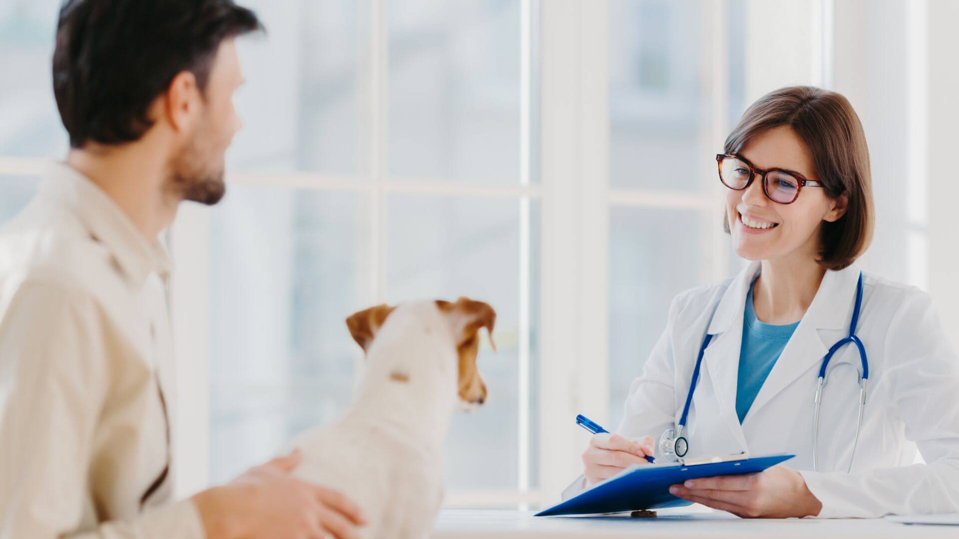 Continuing Education | Coral Springs Animal Hospital